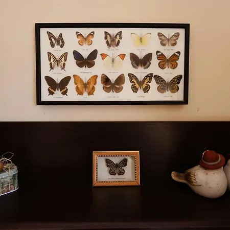 شقة Jasna نوفي ساد